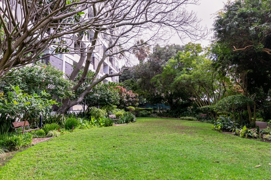 To Let 0 Bedroom Property for Rent in Cape Town City Centre Western Cape